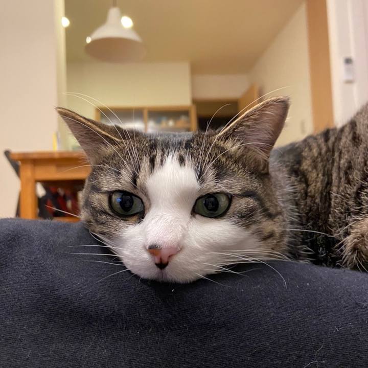 2b6bc092 327f 4b29 80af 12d84a5e0790 1611151458239