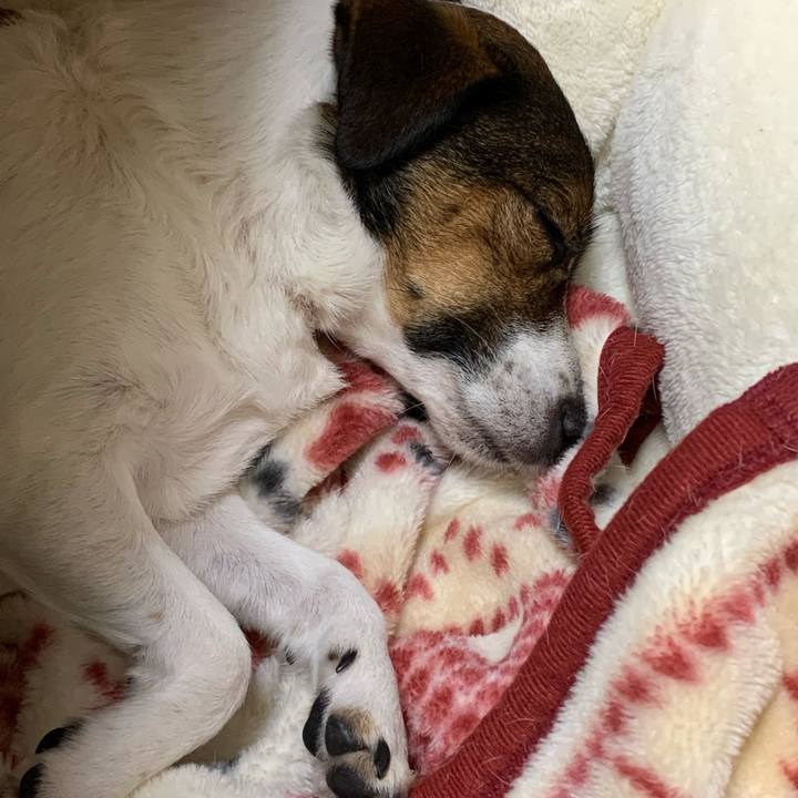 2b6bc651 3f88 4943 9783 bb1857fb28d4 1577789158721