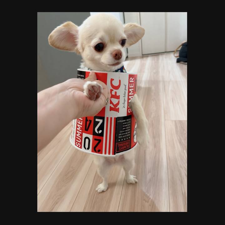 2b6bce1f 4196 4192 b3c9 cfa94415cd4c 1723294771334