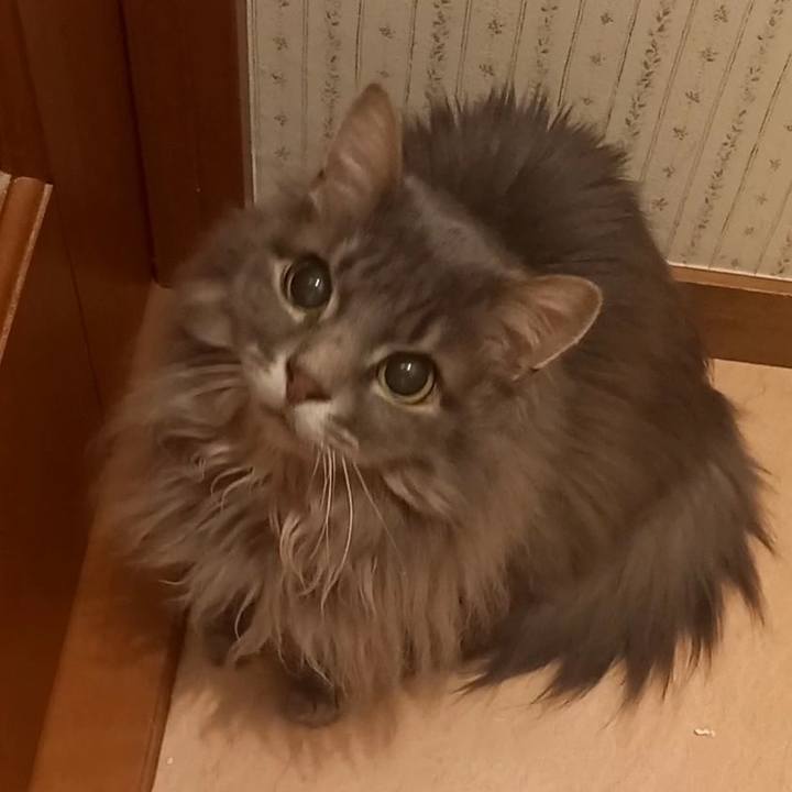 2b6be594 13ea 447a 972f 2affc17e8ad3 1678153150155