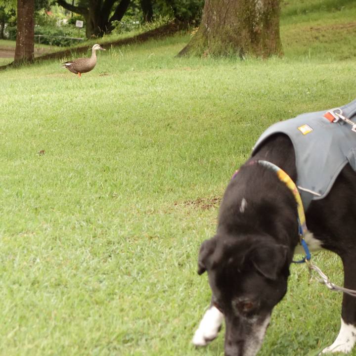 2b6c130f e768 44cd 8294 1c8e46d7d82e 1750809126742