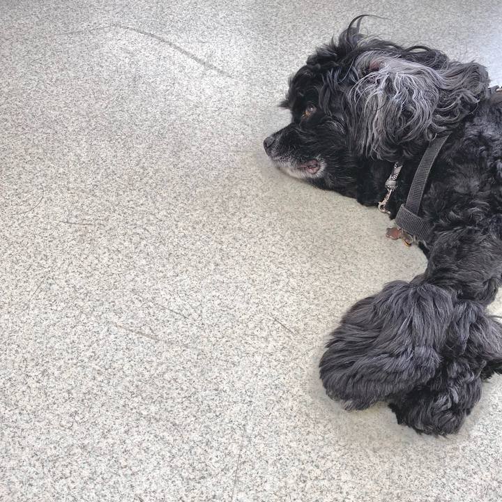 2b6c2127 f2d2 443d 9e09 3439f9980dec 1656208069903