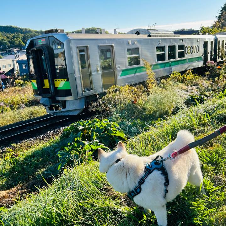 2b6c8fa6 256a 4a34 9325 3c98a4e6c580 1728166978194