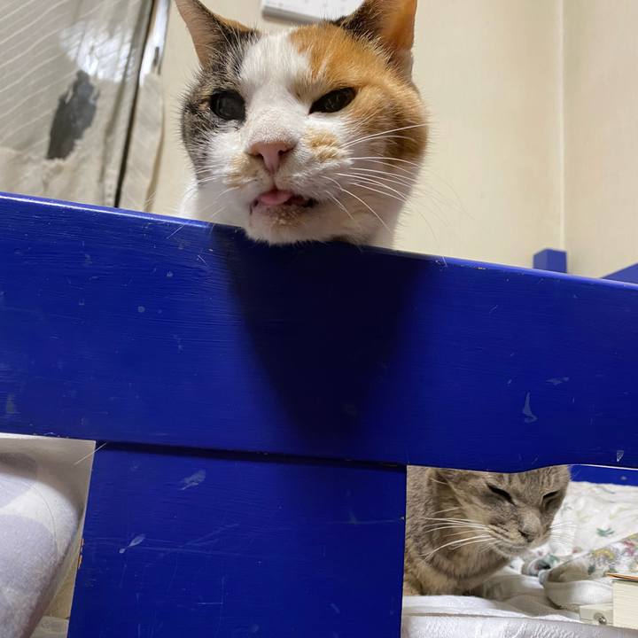 2b6c9ec0 8e0d 4d15 9a0b 0bbf0357b851 1651828453129