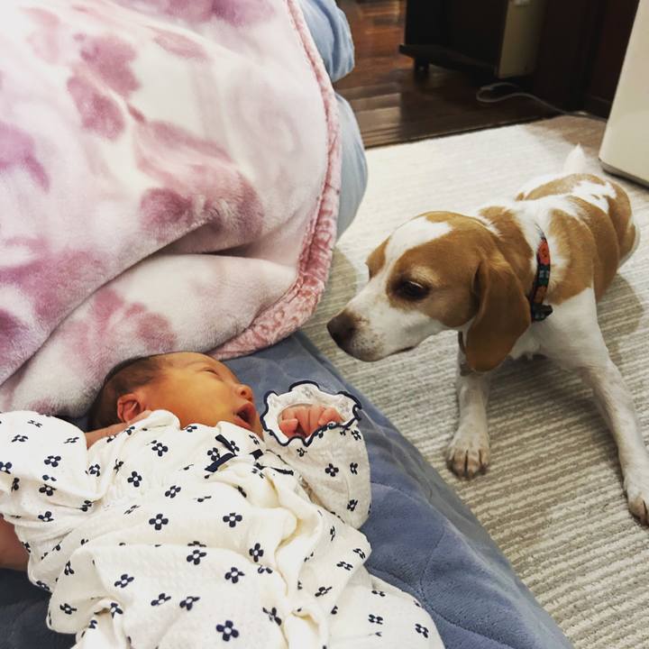 2b6cad54 c16d 4f46 8732 3c0b8f8b7d95 1681732078278