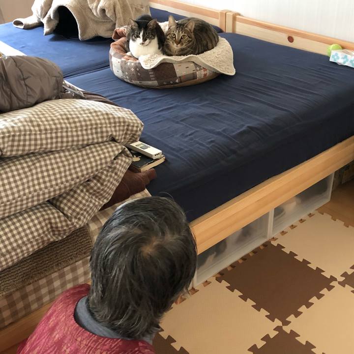 2b6ccfbe be45 41a7 862f 81b7a7af0fda 1518915864113