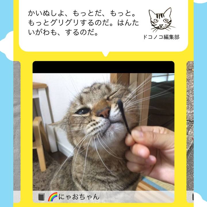 2b6cf0a9 5b1f 448c 8946 fedc3a015f0a 1697544834512