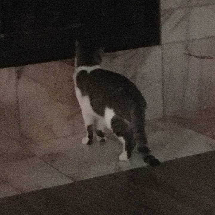 2b6d5e1d 9c1e 490c b573 05a340edc71c 1655165714862