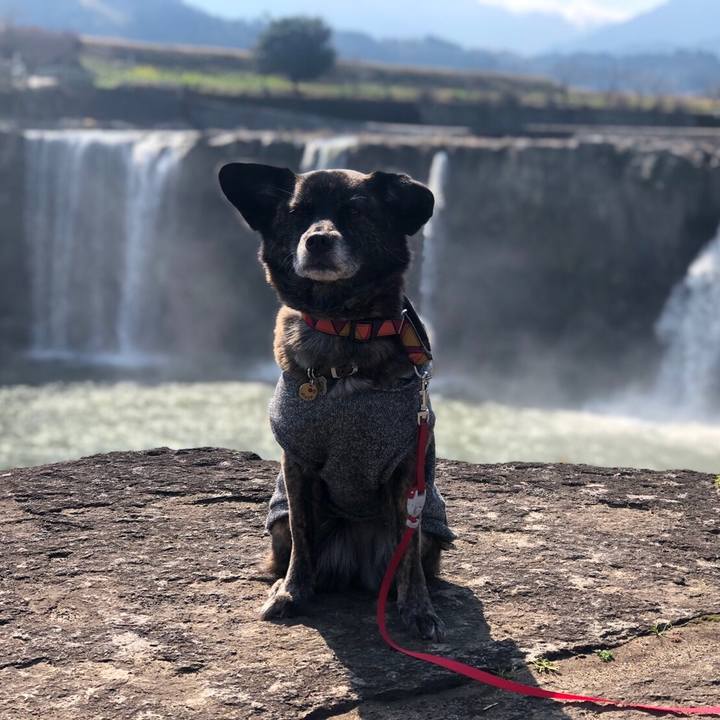 2b6d6f8f b09e 44c3 938f 1bec0402f60b 1551088887682