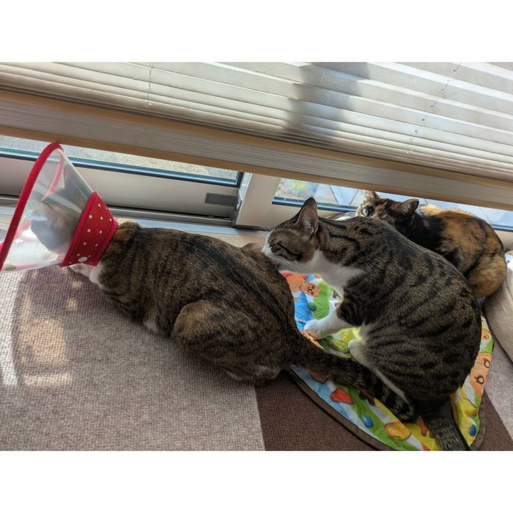 2b6da499 cf27 44f2 97af a9529284fb4b 1774527756931