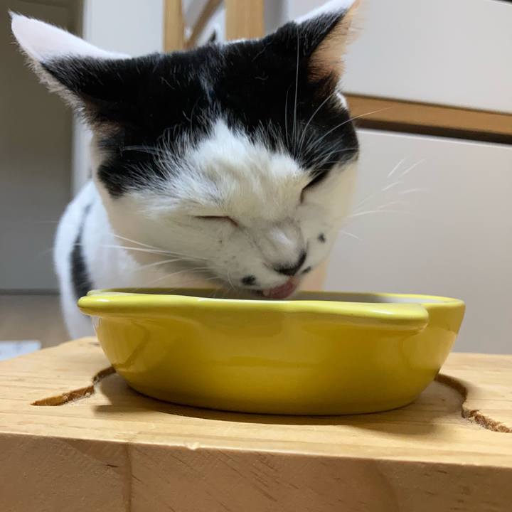 2b6da85c 38f8 4a80 8eff df7273471bd5 1760907603664