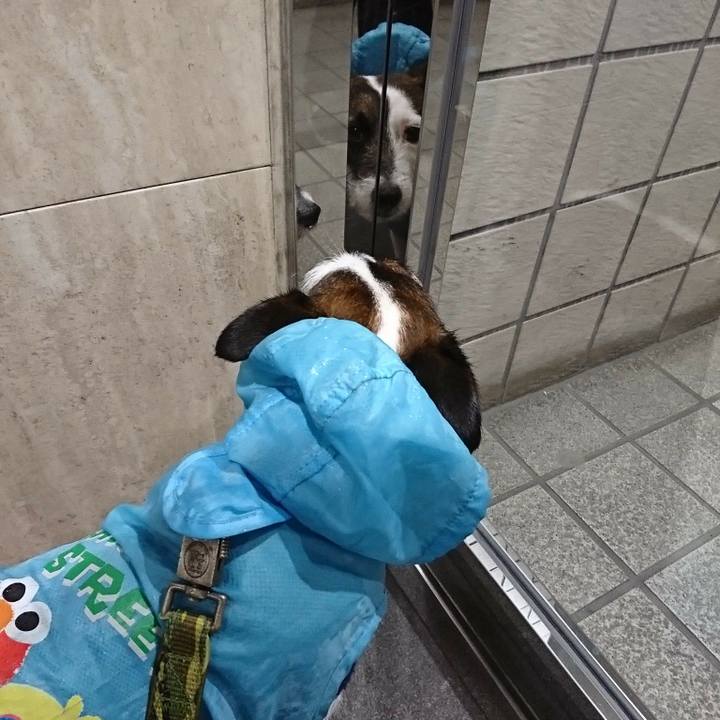 2b6e3f91 5014 4c73 9e6c 094164a89c7c 1521590088418