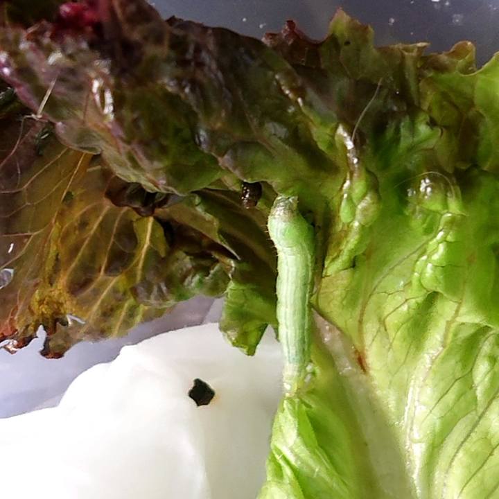 2b6e48c1 da04 4181 b91c 79ac406789a8 1595729510252