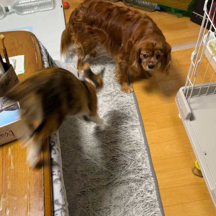 2b6e69fc 6609 46e4 9120 938ef06771ea 1671496230376