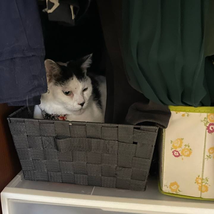 2b6ea3a1 a82f 43b7 906c fc8933b7a4a4 1702436636024