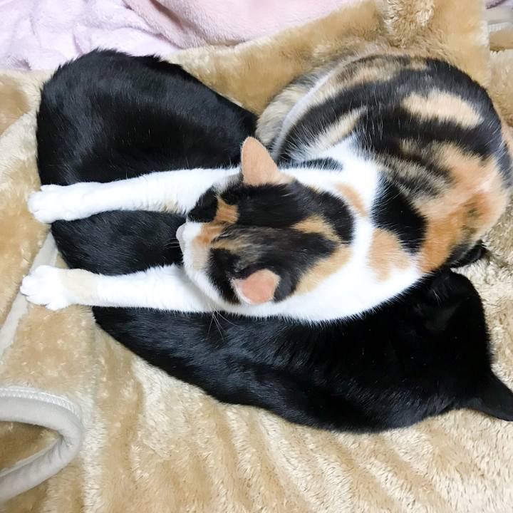 2b6ec094 e2bb 4cf9 b95c b3e90c51e717 1521901850693