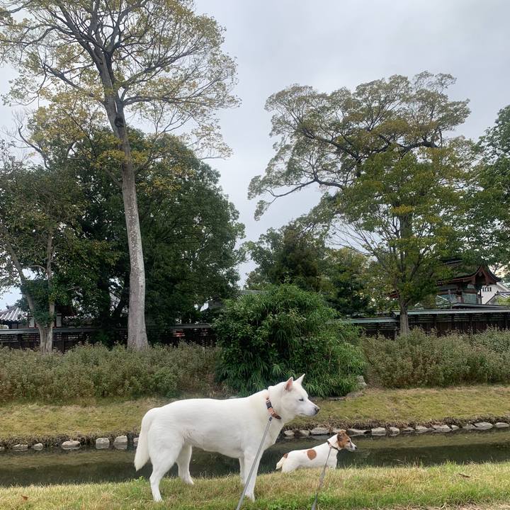 2b6f141c 2891 4922 9b84 96c06257a694 1541290446801