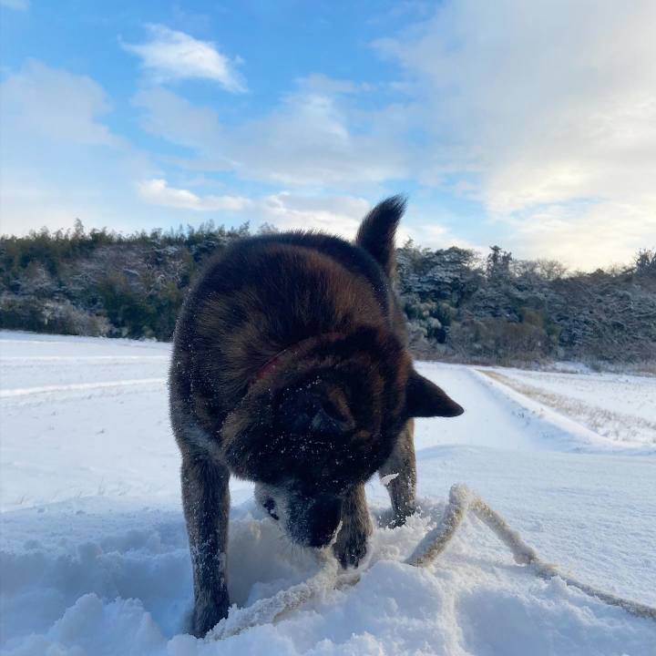 2b6f4cb8 b27a 4b60 9359 ecccb007ed1a 1609465582316