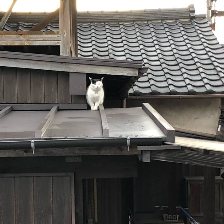 2b6f54e2 1971 4f11 89e0 6e91fdeeff3d 1609023927204