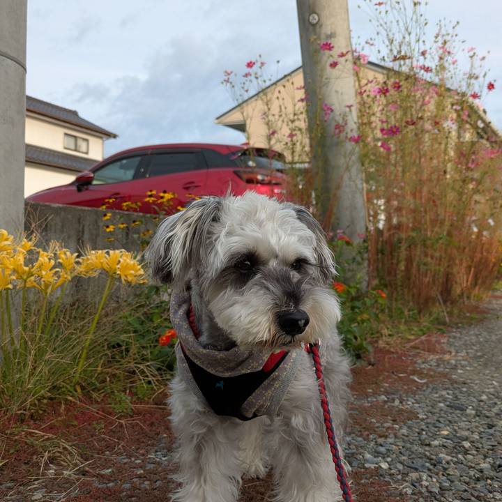 2b6f8d84 7c12 4d9b 92f5 df7c42fb711c 1761783681455