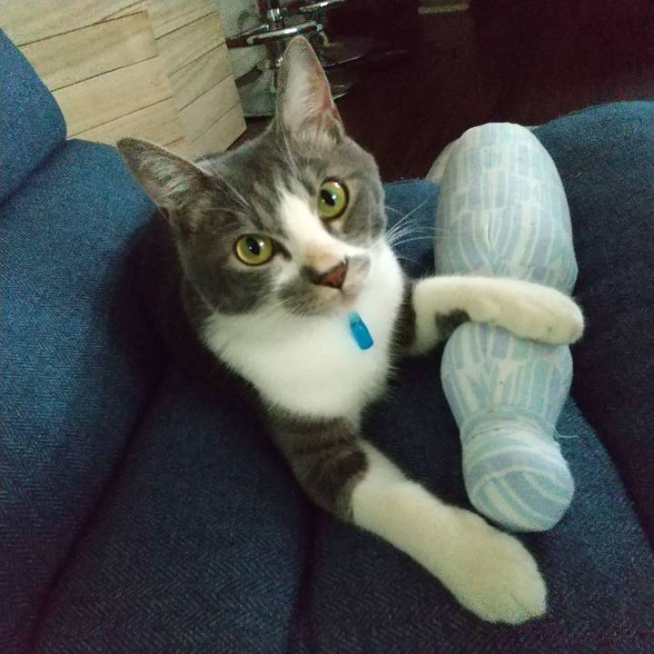 2b6fd568 7967 4d8b a4f4 657e8222619b 1596842882778