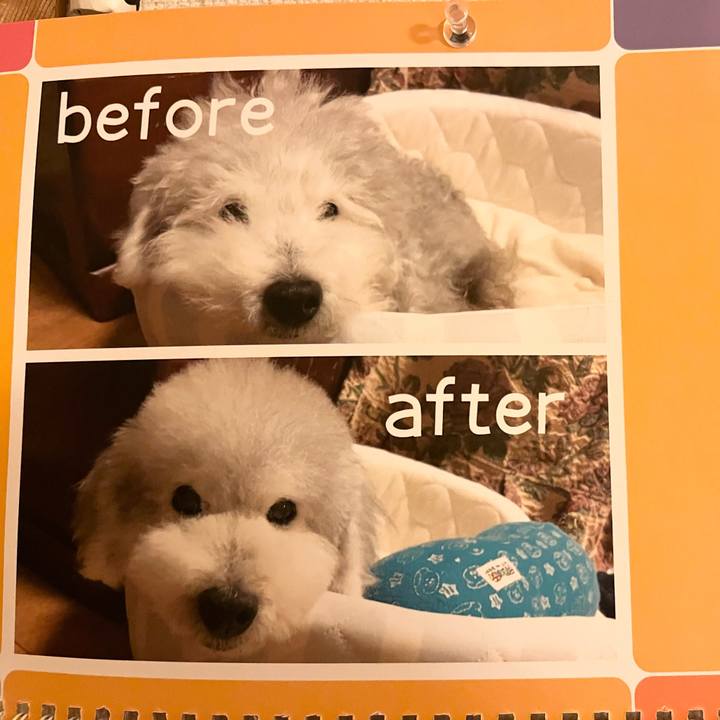 2b6ff0fa 299c 45d9 8ac7 3d2b749b5a04 1723130523451