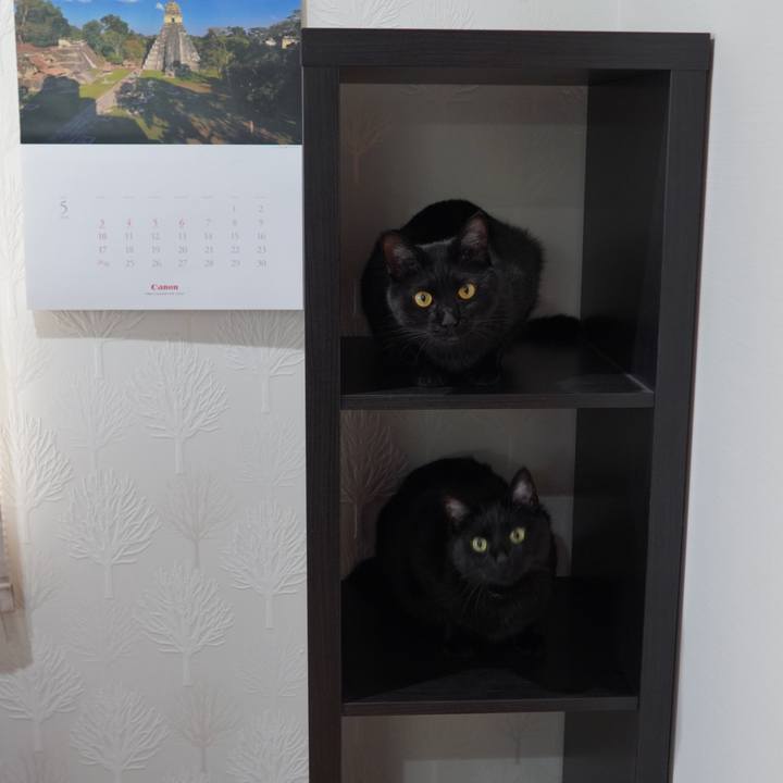 2b704192 8941 4808 a09e 22c742626a6f 1591518352589