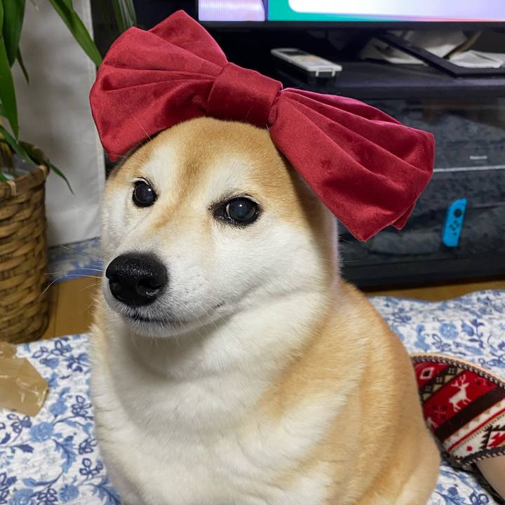 2b709674 2c3b 491f b1f0 eac7d0eb5d03 1634227359619