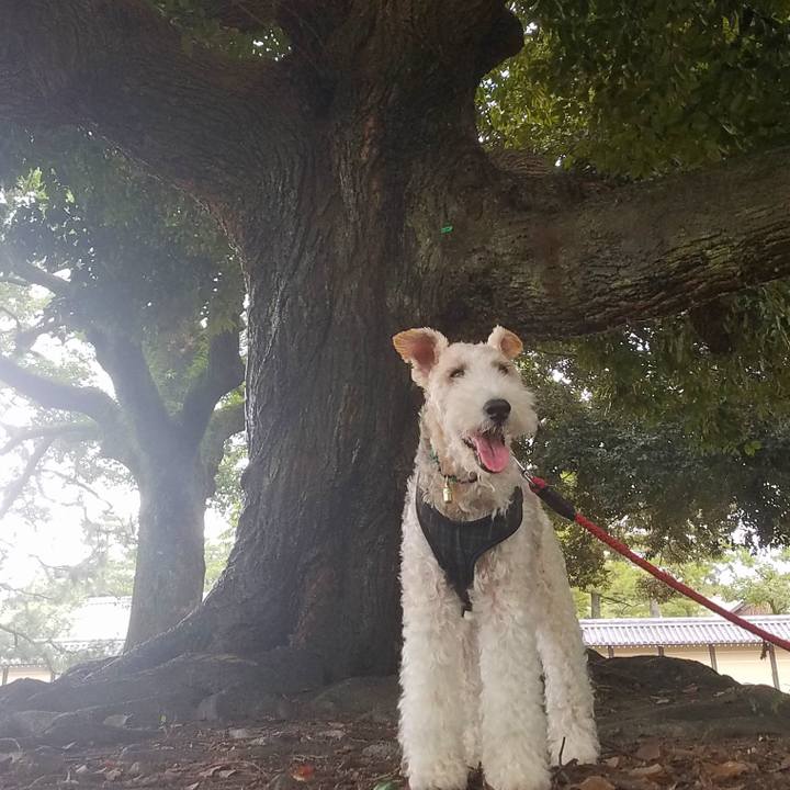 2b70d37e 3b15 4594 aa35 770dfb765908 1569331687494