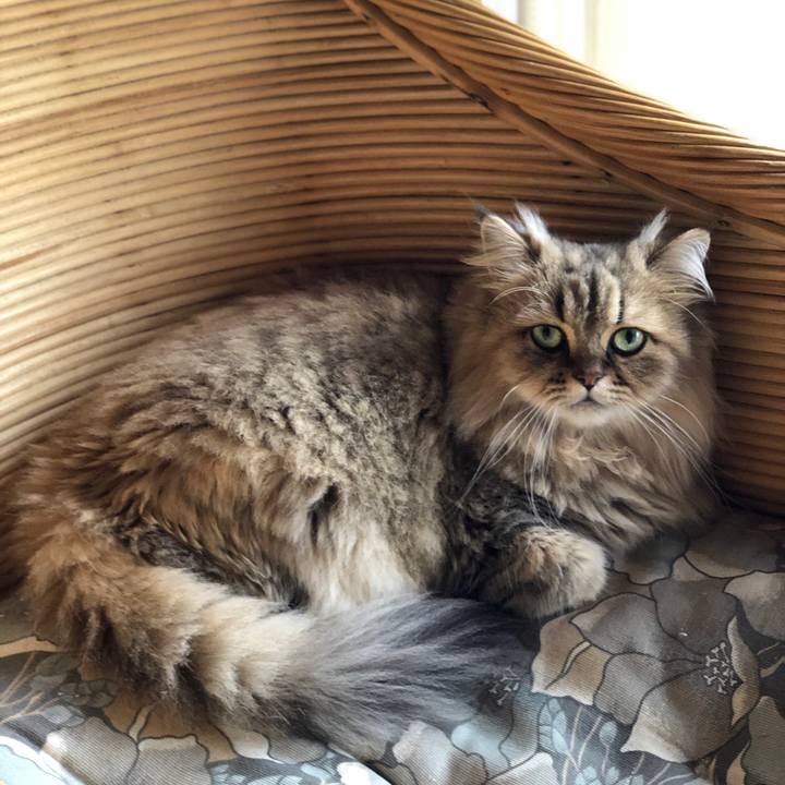 2b714159 098d 4d84 84ab 5f68e19c449f 1569202305646