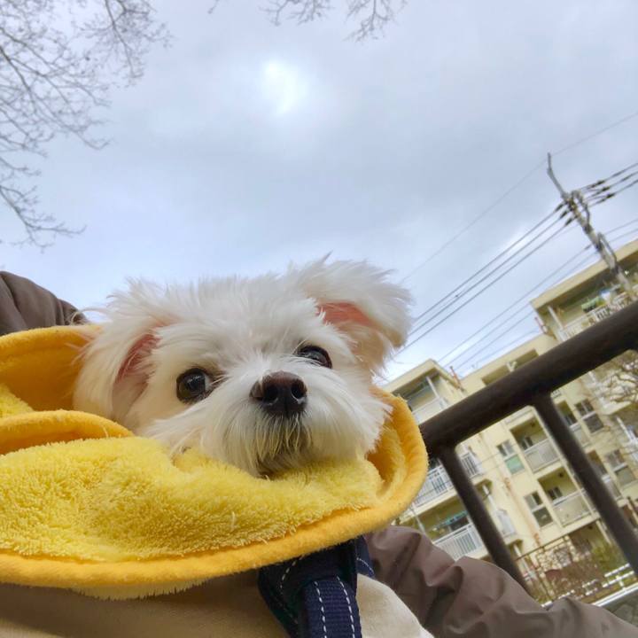 2b714ea3 8976 4645 8302 ecc2fac0599d 1549353855068