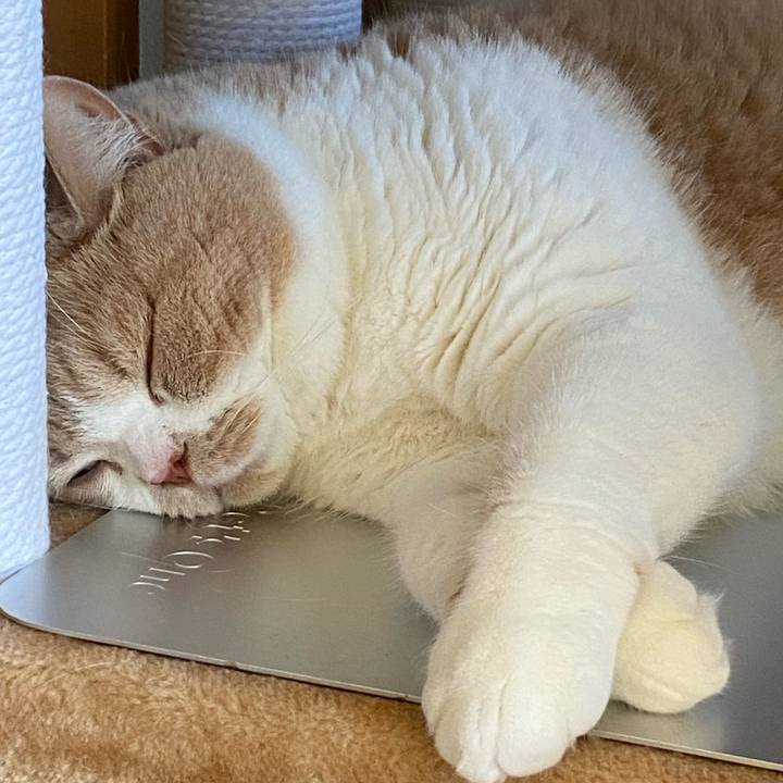 2b719705 bed5 4b27 866e 451cebe6e493 1631945472836