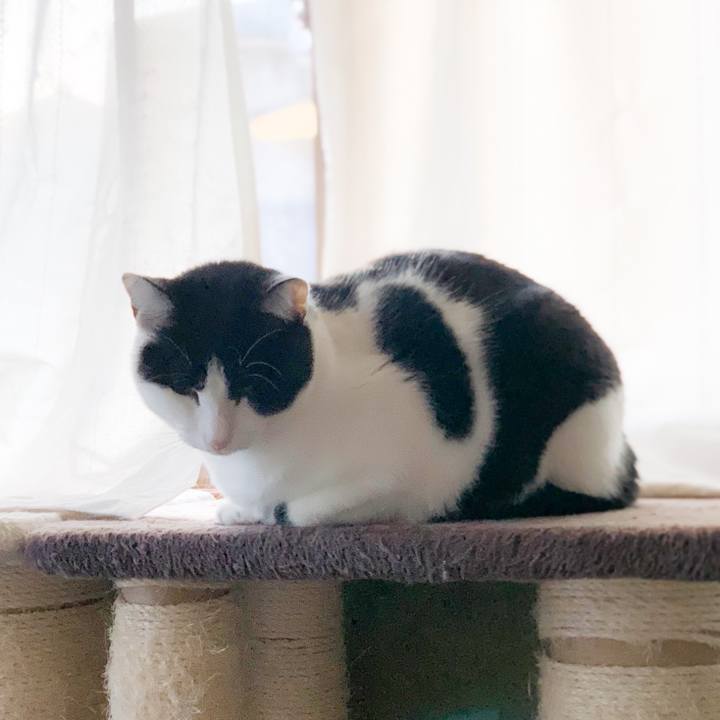 2b71bfdf d479 4501 acab 28017ea2f9aa 1579227907135