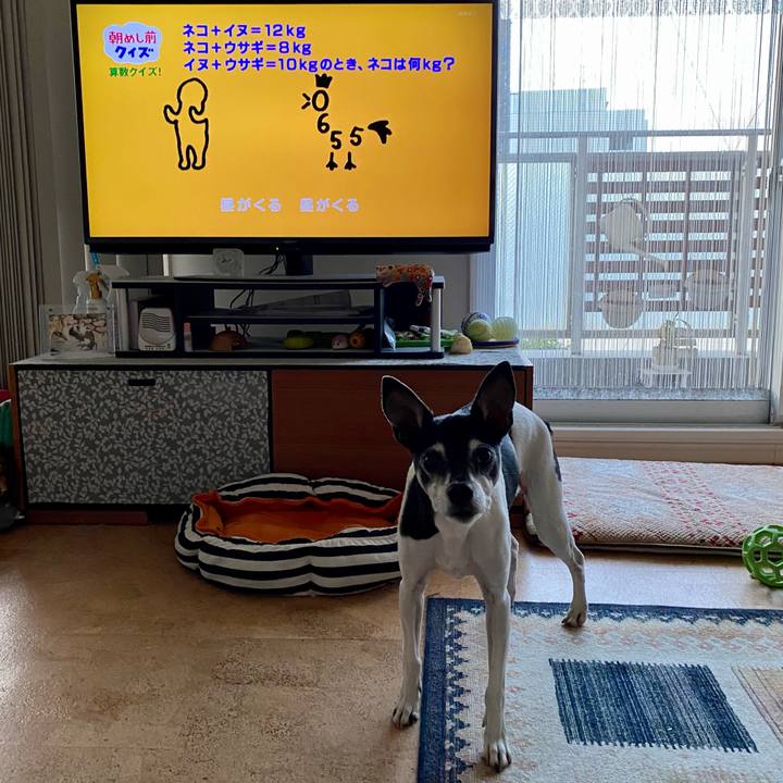 2b71f920 02a8 4593 8e90 01230e7d9c2a 1614118270569