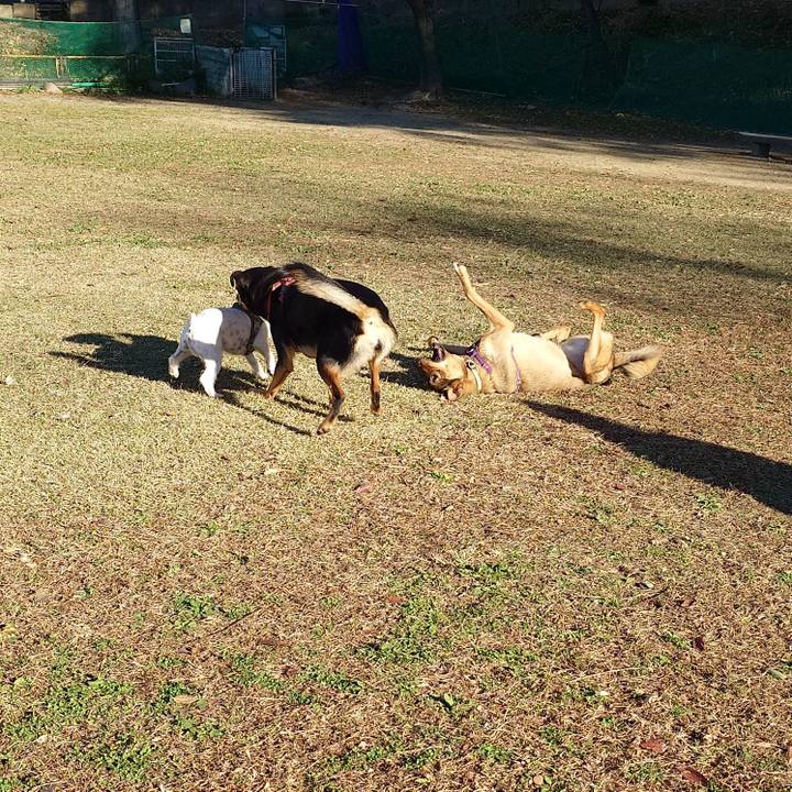 2b71f992 b3d0 4b5d b7d4 bbf1d0ba2893 1732424615486