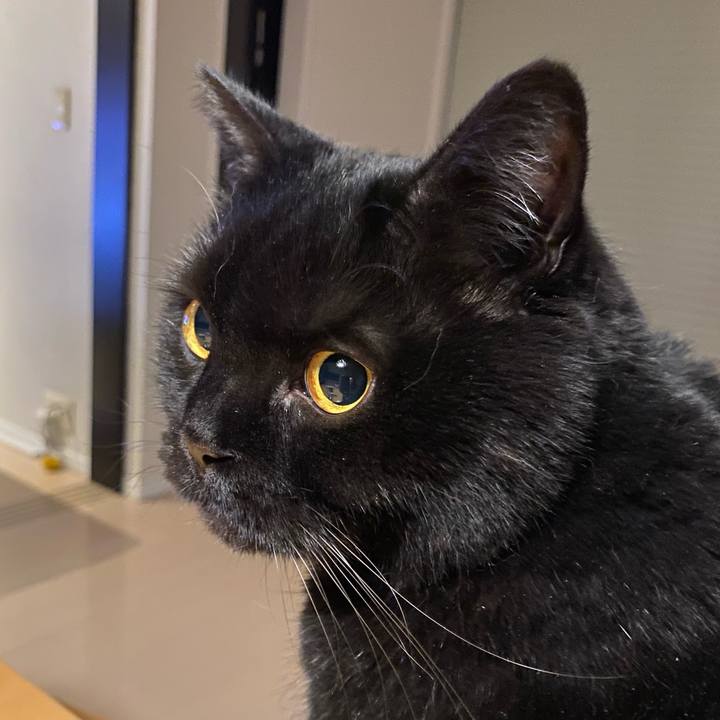 2b721c33 007b 4cca 8b87 5d9c089e4aed 1715693953997