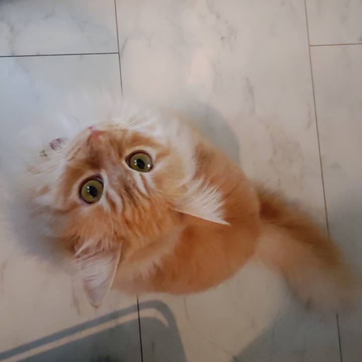 2b727a13 89a9 4385 bd27 7d27e9aa1c65 1680302096902