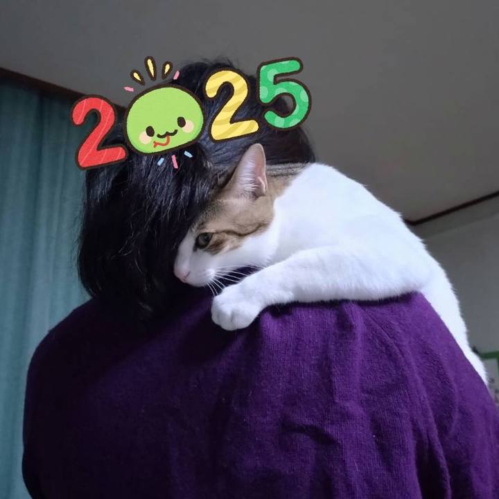 2b728748 6451 426e a516 f204353704e4 1735718106108