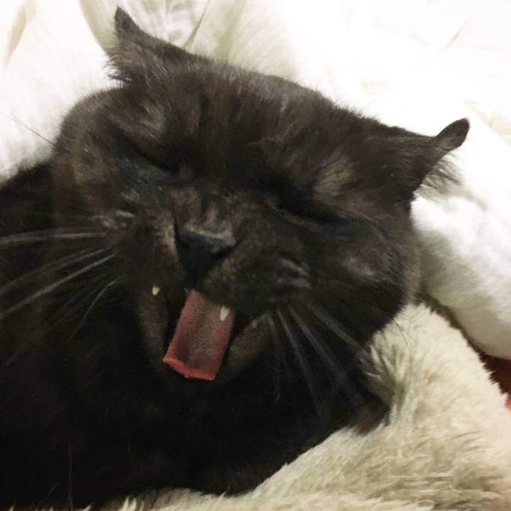 2b729348 3f8c 4de4 a2dc 119977688dd0 1574440187499