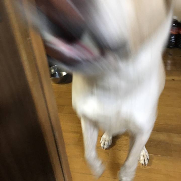 2b72a7e6 199e 4820 a192 cfb19627badd 1525007356796