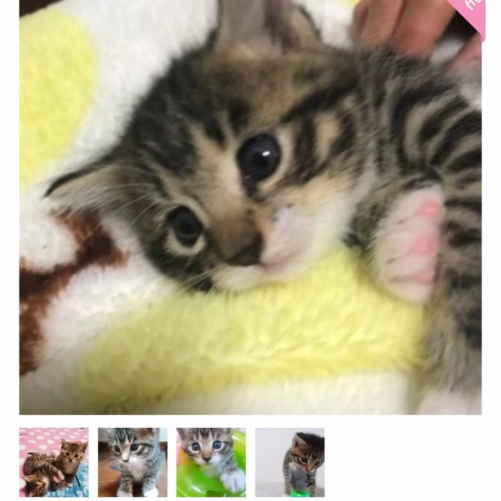 2b72dbd3 6925 406c 97dd 150dcd2e4a57 1732432156546