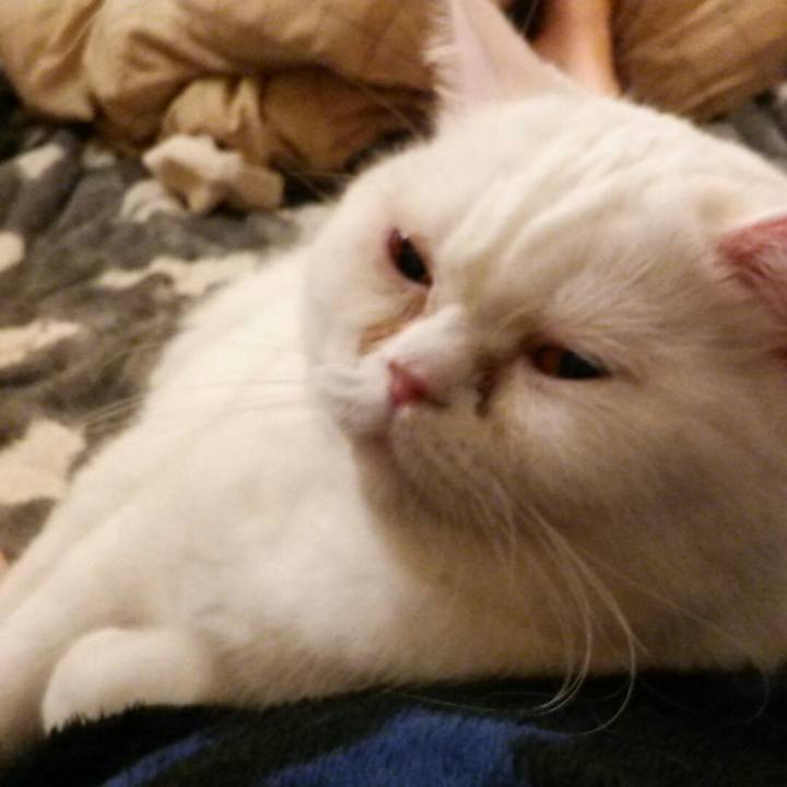 2b7399cf 5f1e 47b7 aaab 2e152aa279b2 1521962081528