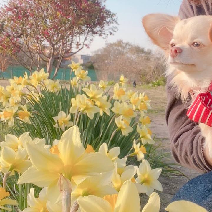 2b73a2be 4131 4df0 ab5e aba2cfd18b4c 1616058646990