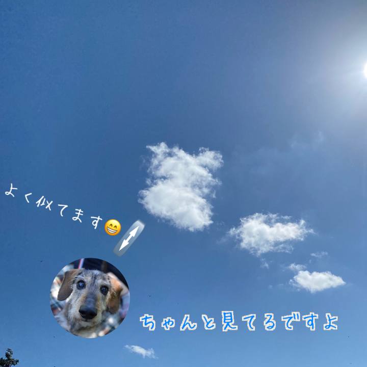 2b73ab01 37b6 49a3 9502 ac3d45105b42 1633279508547