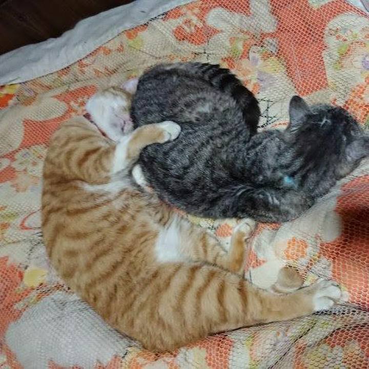 2b73b4bb 59b8 48bb b335 32ebd05bb8cc 1572100166473