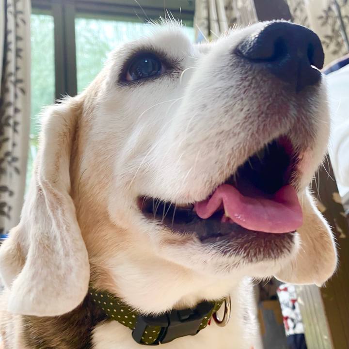 2b73cc38 2922 4873 9707 3ce148cad809 1648870328458