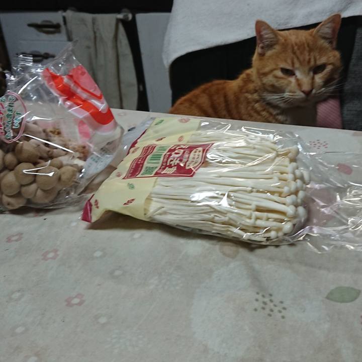 2b73efee b990 444c adcc 3b5eec207ebb 1582446102023