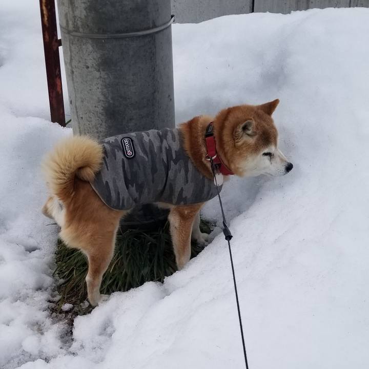 2b7405ea 79a7 4ab8 9a76 f71353ea1bf5 1738035712134