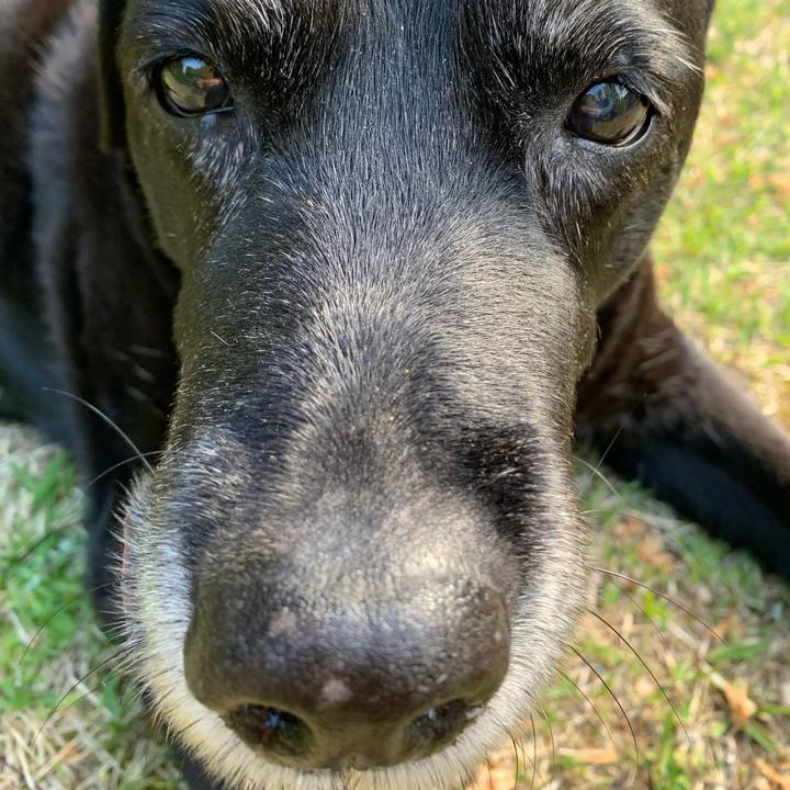 2b740b76 5613 4fa2 b0cf 16dc85566588 1619217982857