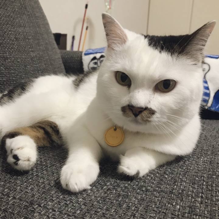 2b740bce 5f6f 41e3 9ff0 b41040ad8113 1561613645845